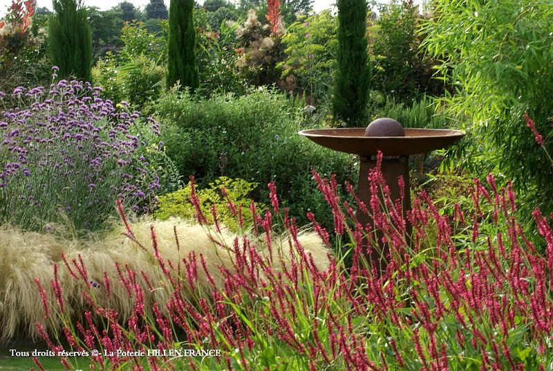cheveux d ange et persicaria au jardin contemporain